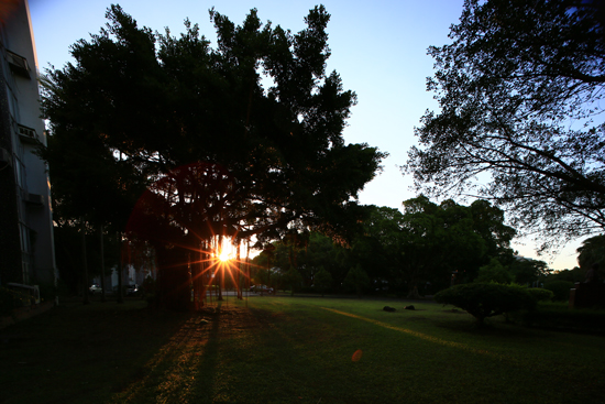 夕陽-耕莘樓旁草地